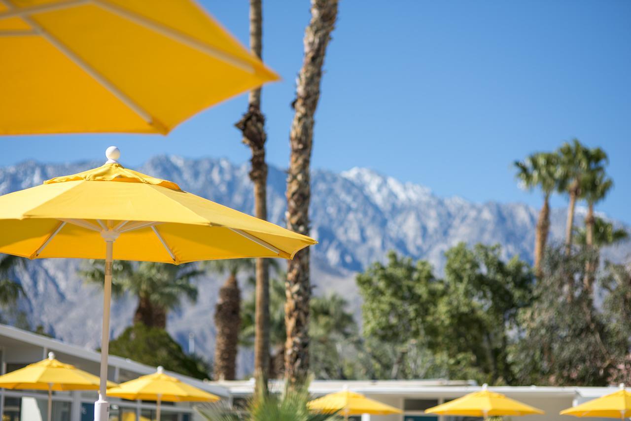 The Monkey Tree Hotel Palm Springs Buitenkant foto