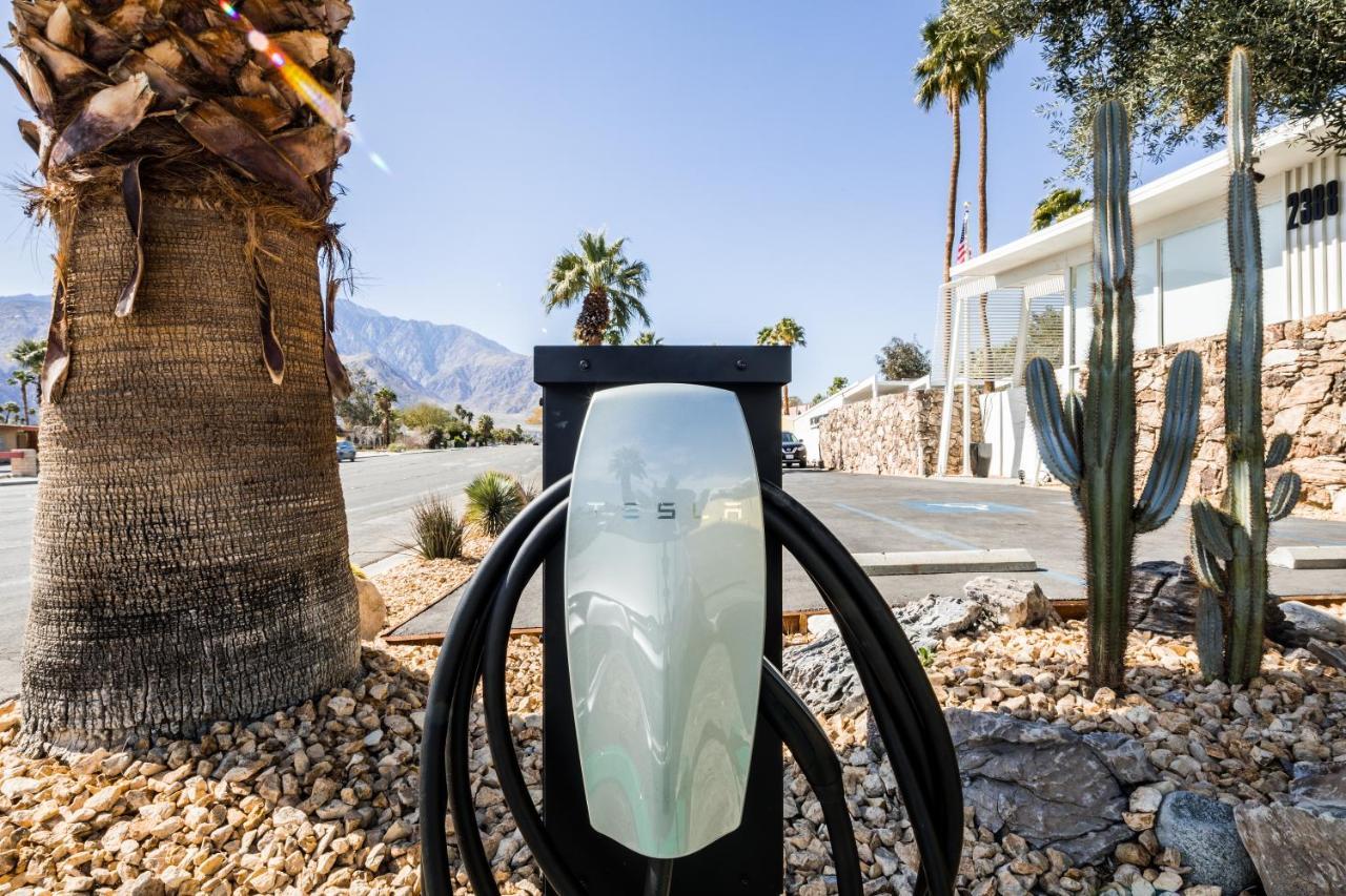 The Monkey Tree Hotel Palm Springs Buitenkant foto